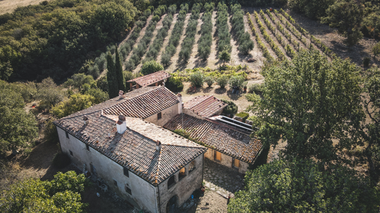 How Can Safety Technology Help Reduce Response Delays in Rural or Remote Areas? 