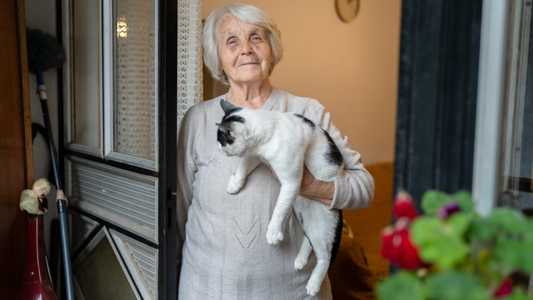 How Can Seniors Safely Manage Pets While Living Alone? 