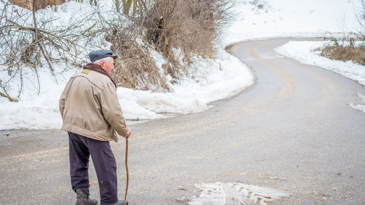 Reducing Missing Person Incidents: Insights on Dementia, Financial Burden, and the CPR Guardian Solution