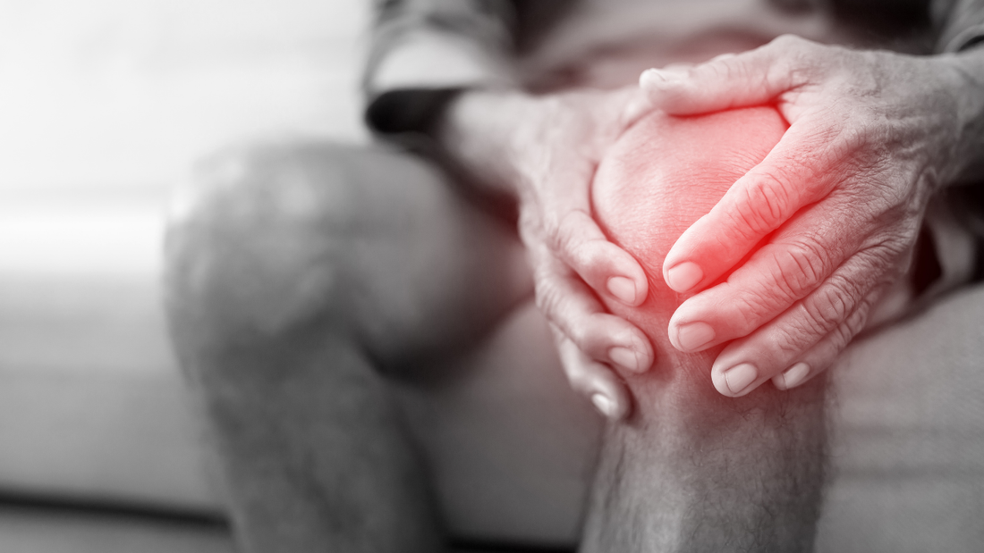 What Are the Most Important Emergency Contacts Seniors Should Have at Home?