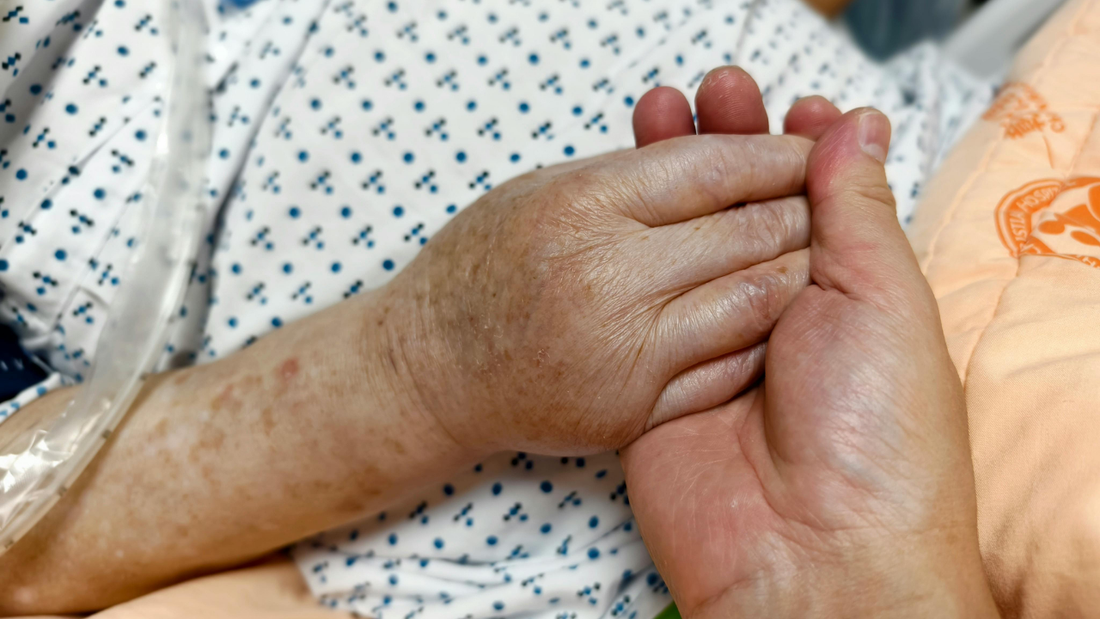 What Should Families Do After a Minor Fall That Doesn’t Require Hospitalization? 