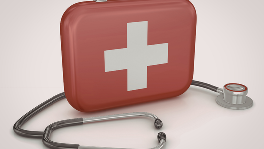What Should Families Include in a Home Emergency Preparedness Plan for Elderly Relatives? 