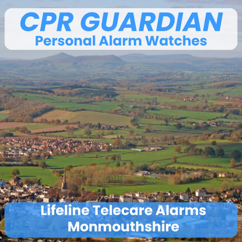 Lifeline Alarm Telecare Monmouthshire