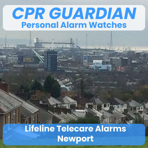 Lifeline Alarm Telecare Newport