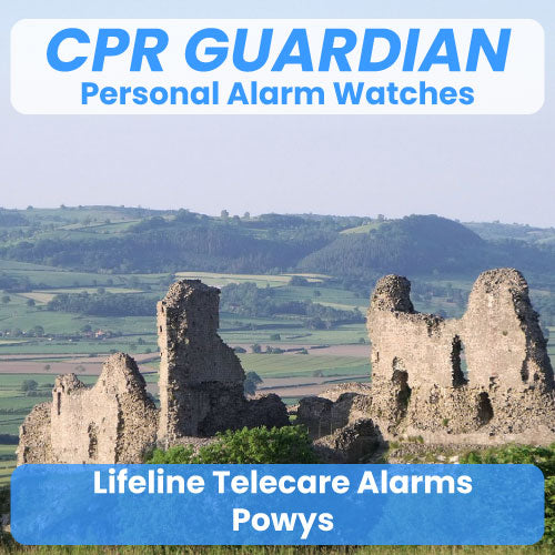 Lifeline Alarm Telecare Powys