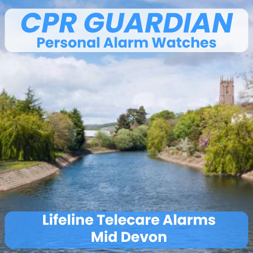 Lifeline Community Alarm Telecare Mid Devon