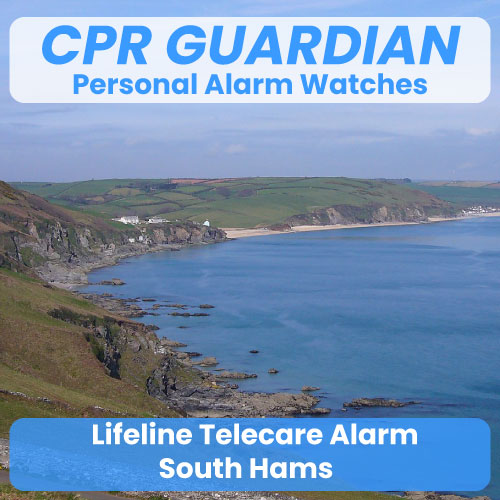 Lifeline Community Alarm Telecare South Hams