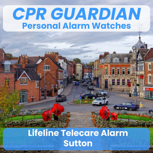 Lifeline Community Alarm Telecare Sutton