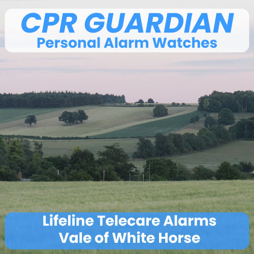 Lifeline Community Alarm Telecare Vale of White Horse